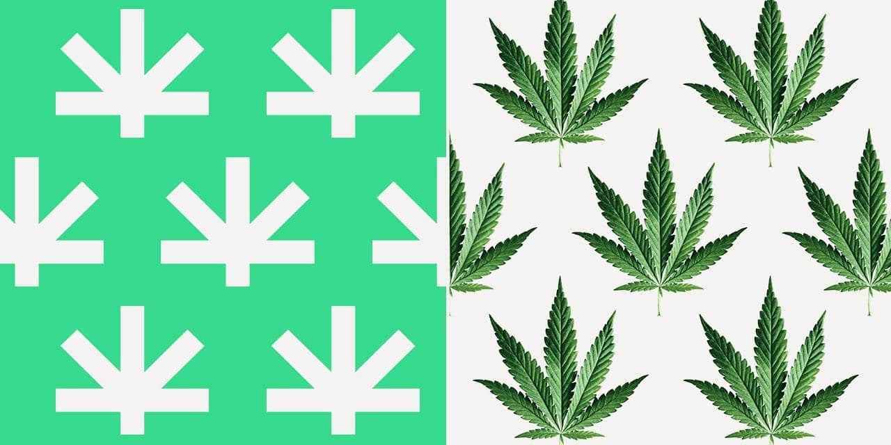 Leafwell's logo and weed