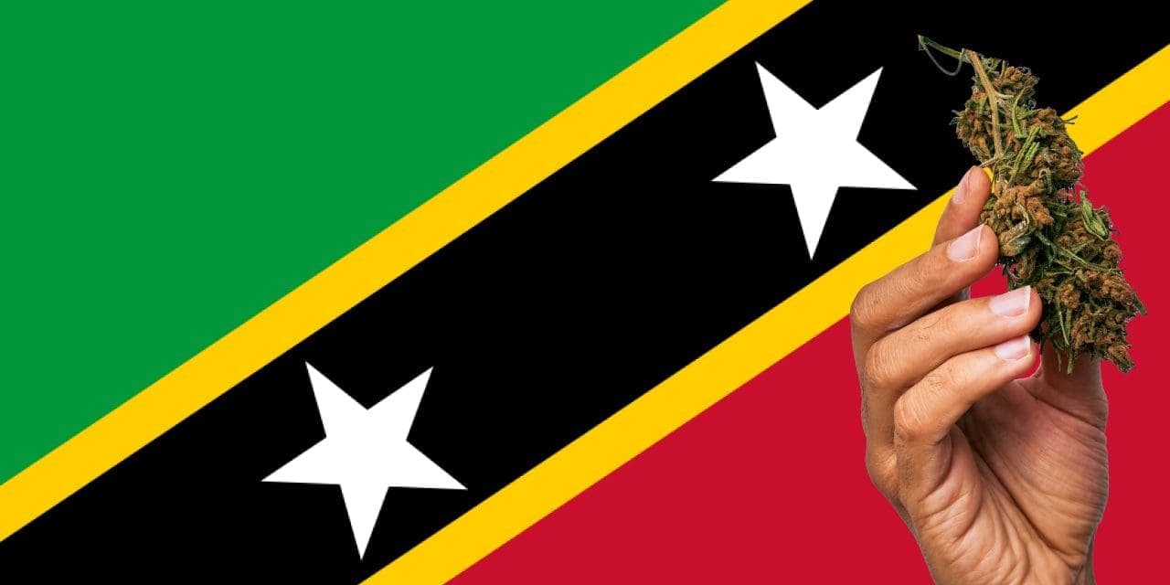 Saint Kitts and Nevis flag with marijuana in front of it